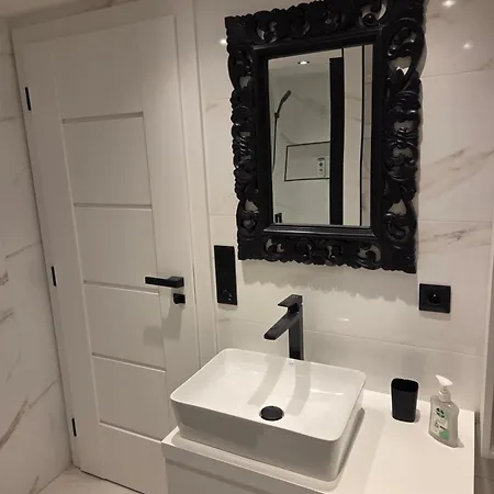 Apart Otel U Zlateho Lva Karlovy Vary
