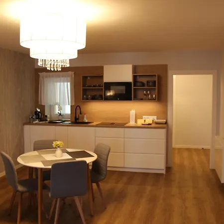 U Zlateho Lva Lejlighedshotel Karlovy Vary