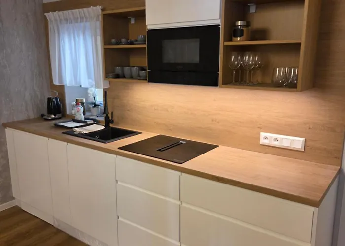 Aparthotel U Zlateho Lva